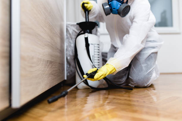 Best Bed Bug Extermination  in Lebanon, IL