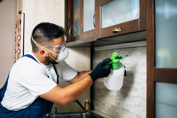 Best Local Pest Control Services  in Lebanon, IL