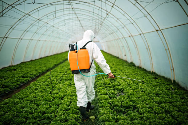 Best Commercial Pest Control Services  in Lebanon, IL