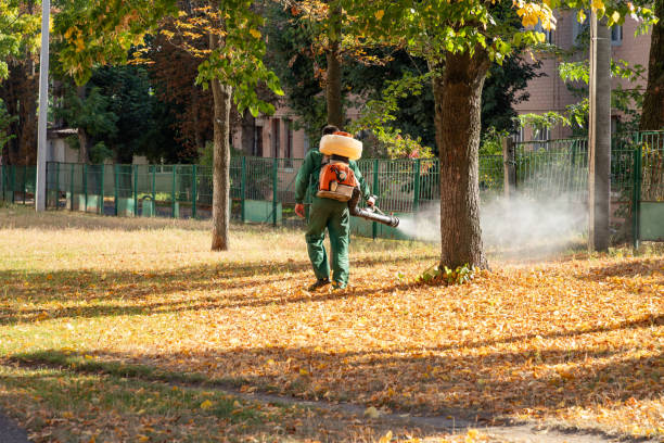 Best Cockroach Control Services  in Lebanon, IL