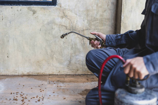 Best Best Pest Control Companies  in Lebanon, IL