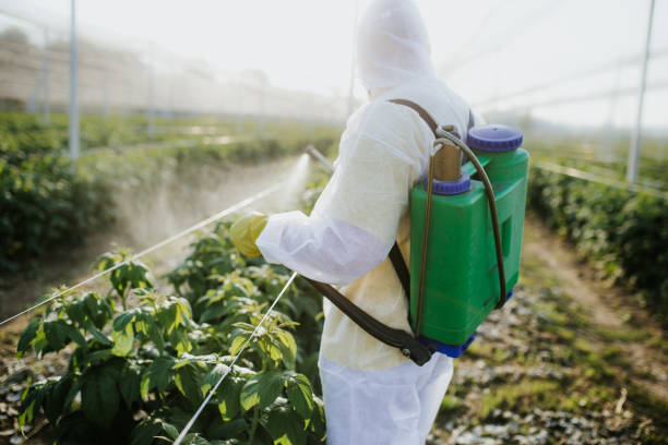 Best Ant Control Services  in Lebanon, IL